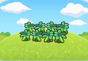 Fresh Veggie Field