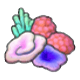 Colorful corals