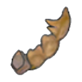 폭군 화석 꼬리