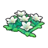 산 꽃