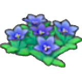 산 꽃