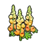 튼튼한 꽃 오렌지