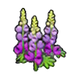 튼튼한 꽃 보라
