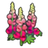 튼튼한 꽃