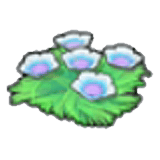 Seabed flowers