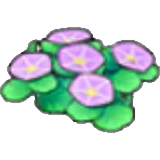 바닷가 꽃