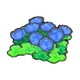 부유섬 꽃