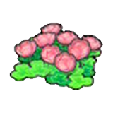 부유섬 꽃