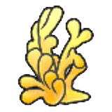 Tall coral