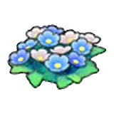 들꽃