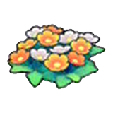 들꽃