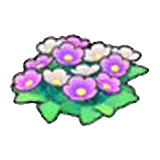 들꽃