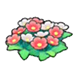 들꽃