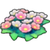 들꽃