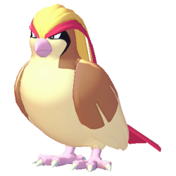 Pidgeot